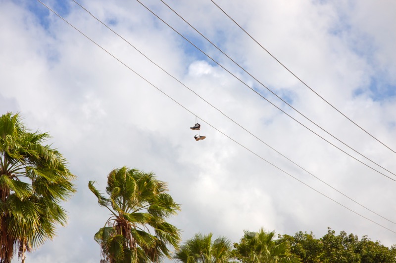 Photographer:
Juergen Stamms