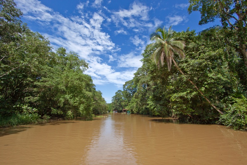 Photographer:
Juergen Stamms