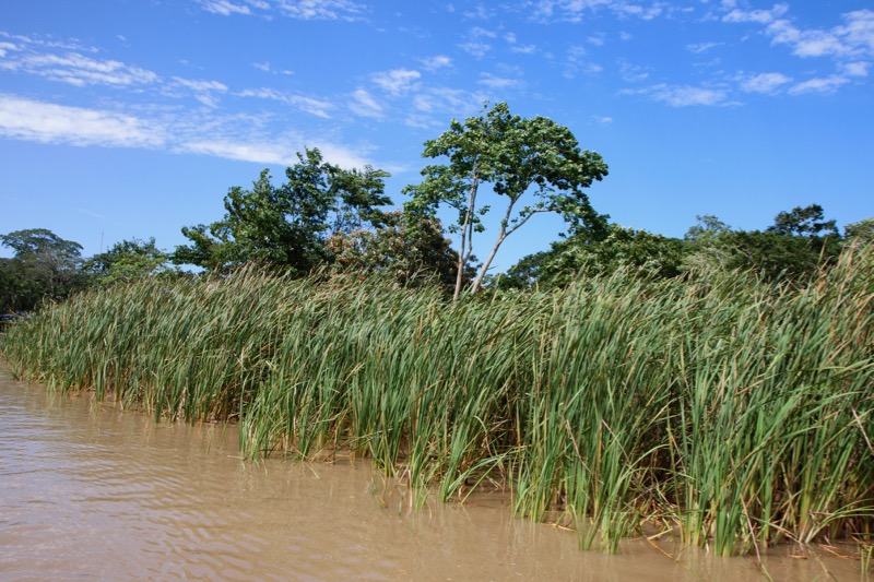 Photographer:
Juergen Stamms