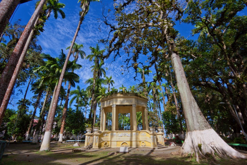 Photographer:
Juergen Stamms