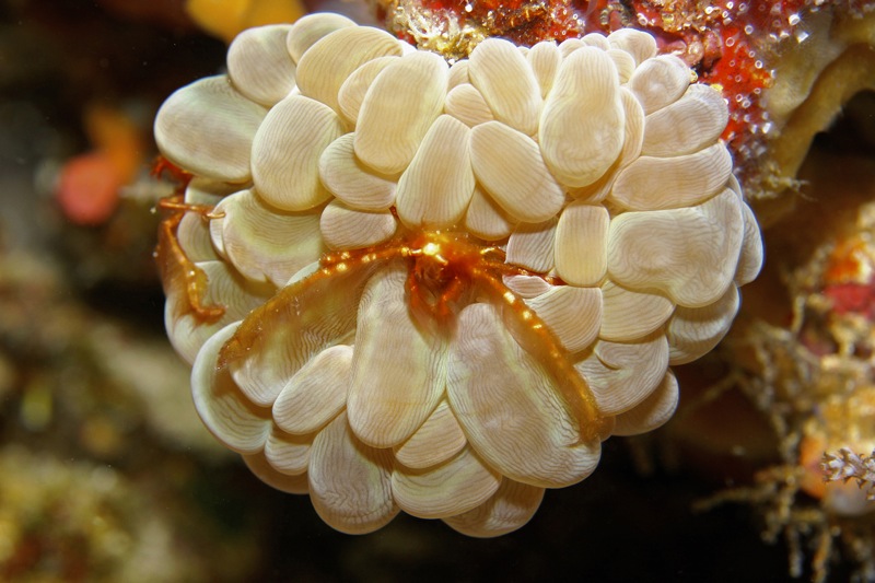 Photographer:
Juergen Stamms