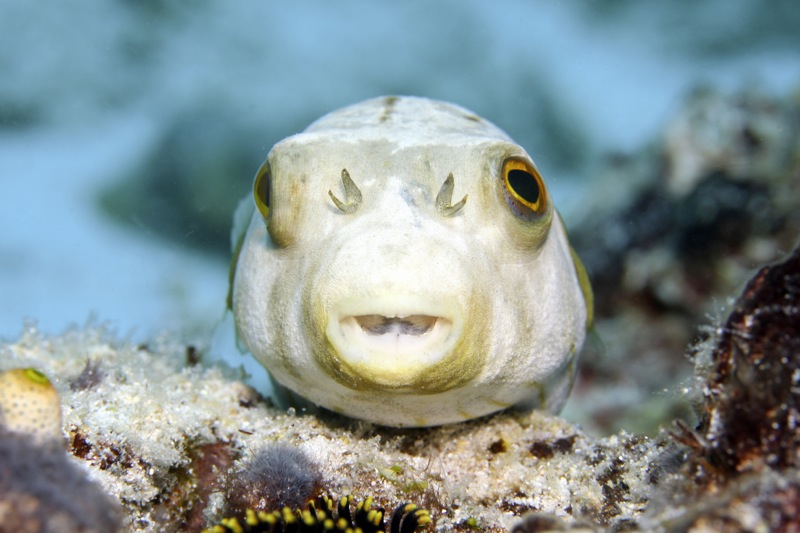 Photographer:
Juergen Stamms