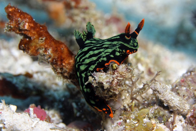 Photographer:Juergen Stamms