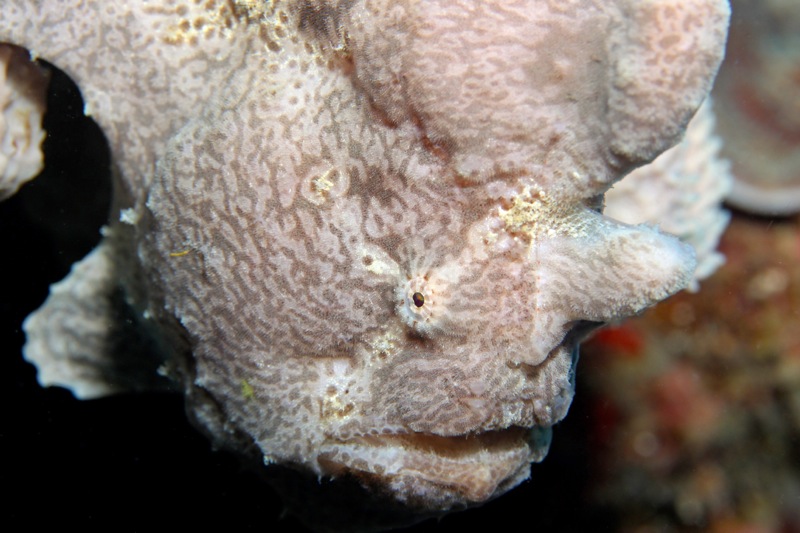 Photographer:Juergen Stamms