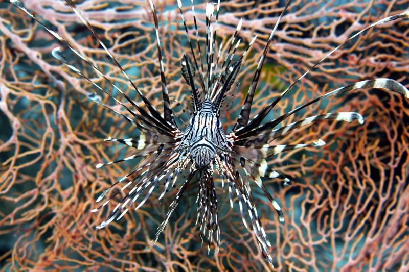 Photographer:
Juergen Stamms