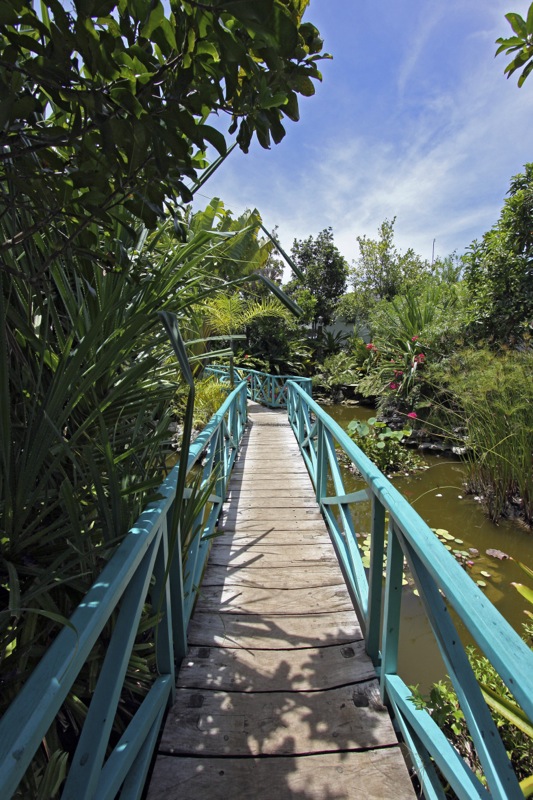 Photographer:
Juergen Stamms