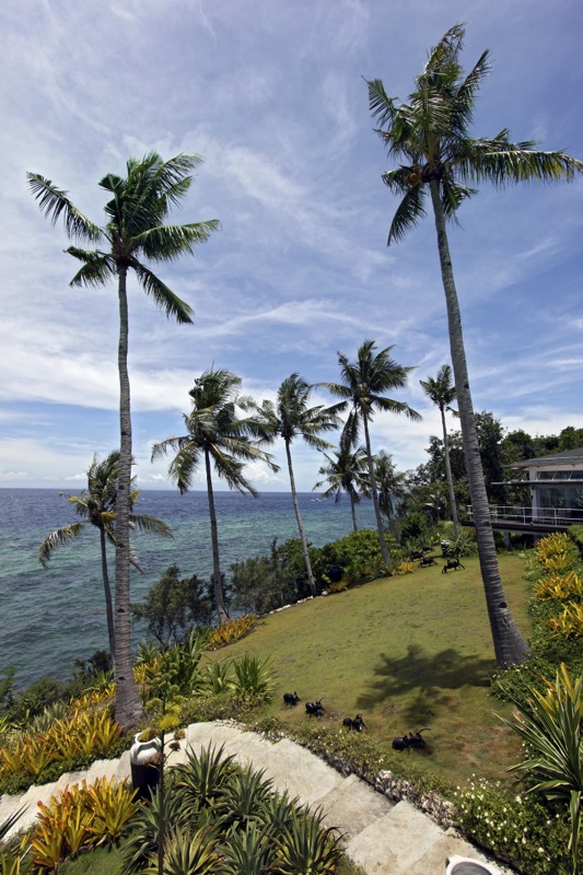 Photographer:
Juergen Stamms