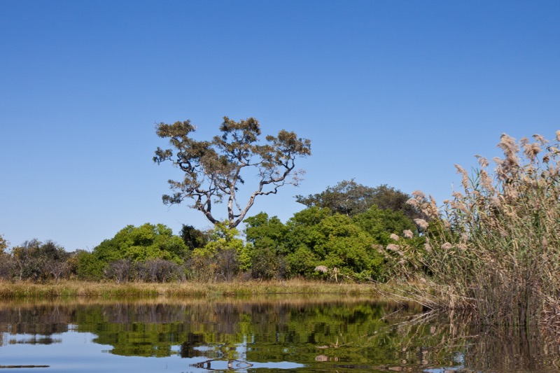 Photographer:
Juergen Stamms