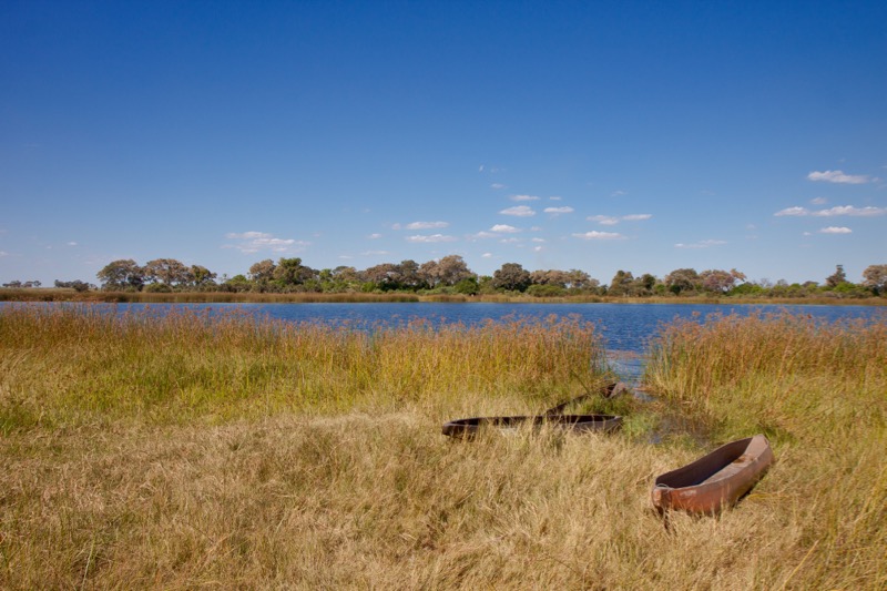 Photographer:
Juergen Stamms