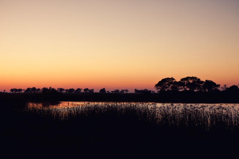 Photographer:
Juergen Stamms