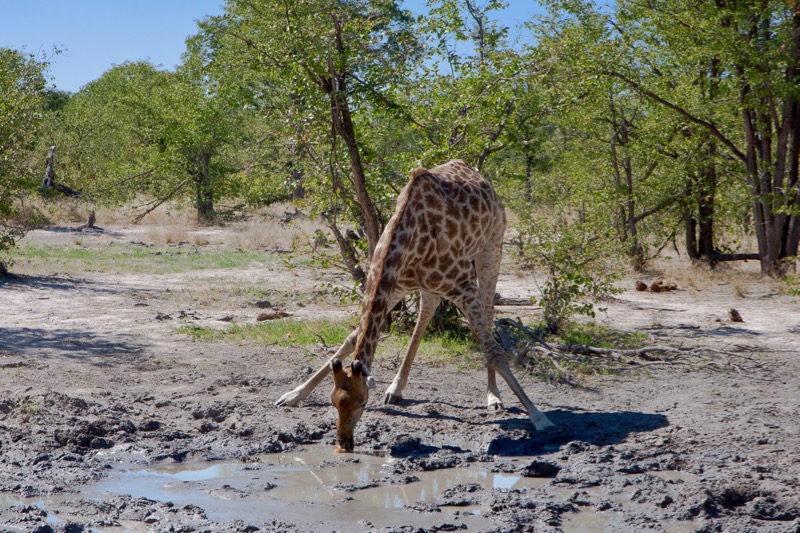 Photographer:
Juergen Stamms