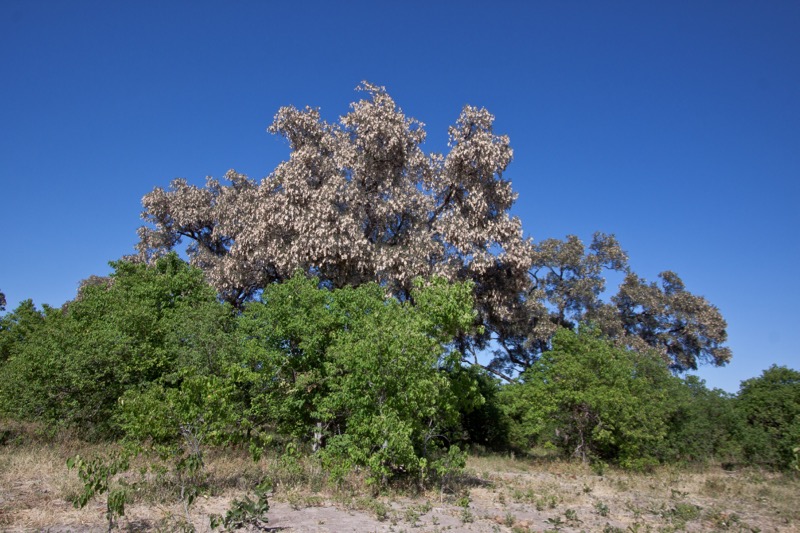 Photographer:
Juergen Stamms