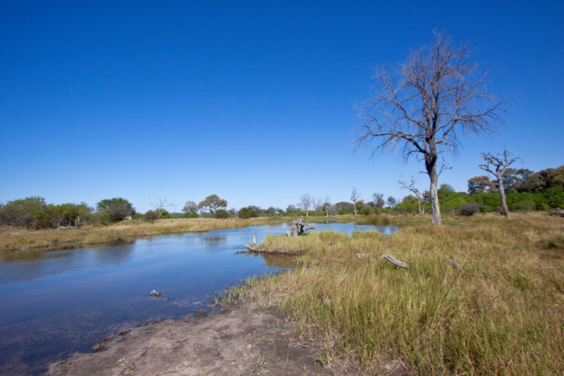 Photographer:
Juergen Stamms
