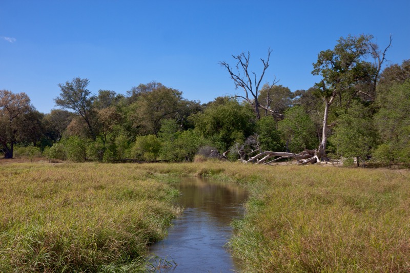 Photographer:
Juergen Stamms
