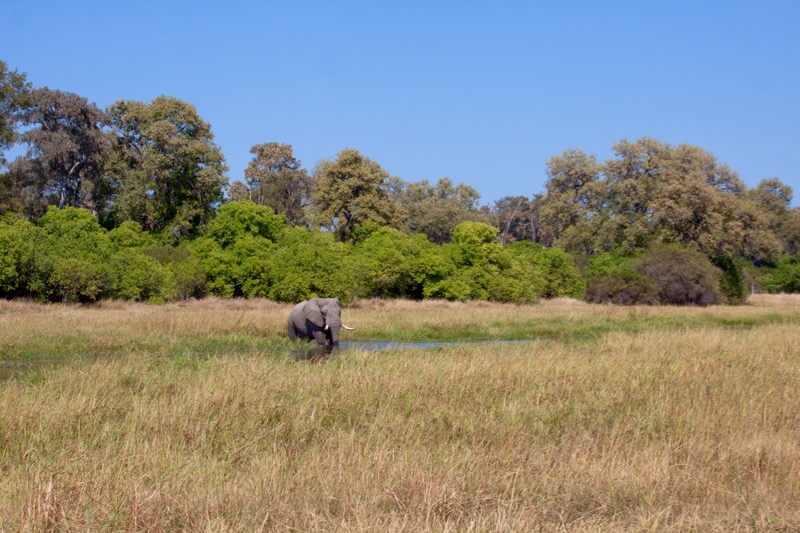 Photographer:
Juergen Stamms