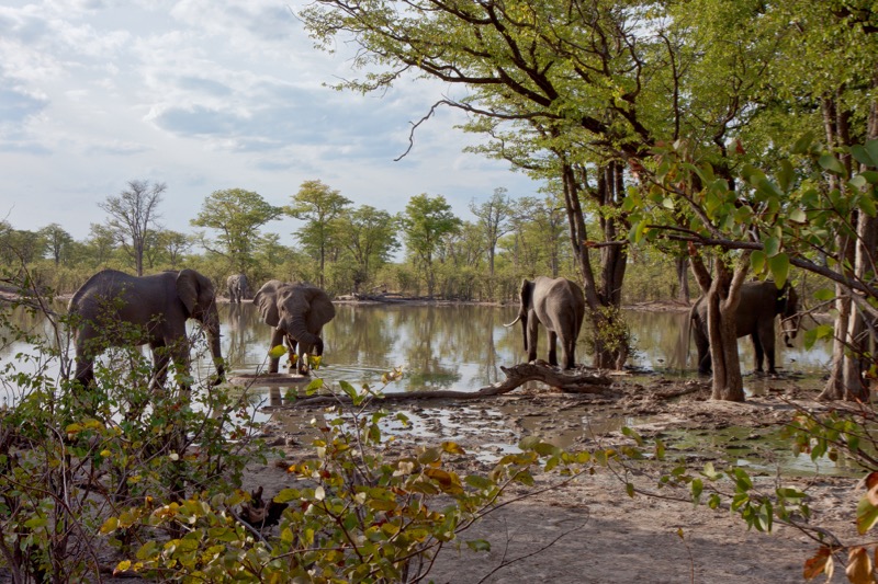 Photographer:
Juergen Stamms