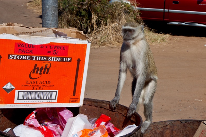 Photographer:
Juergen Stamms