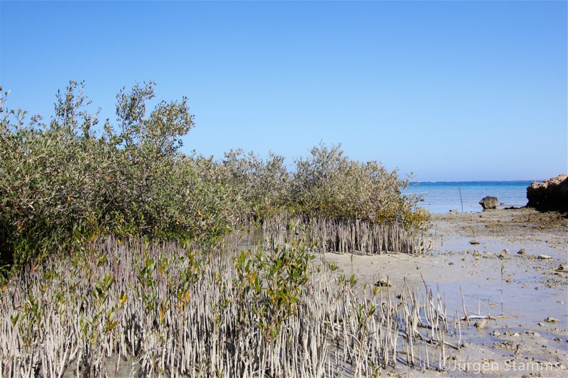 Photographer:Juergen Stamms