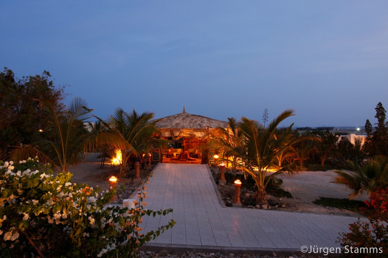 Photographer:
Juergen Stamms