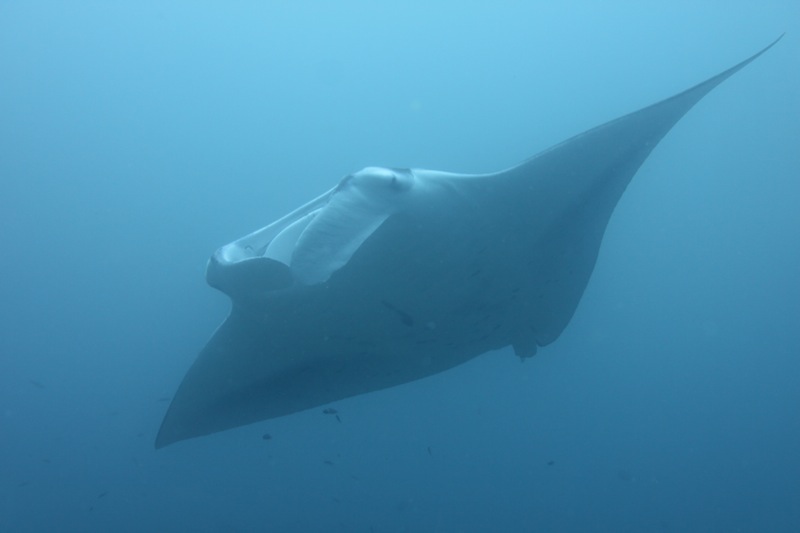 Photographer:
Juergen Stamms