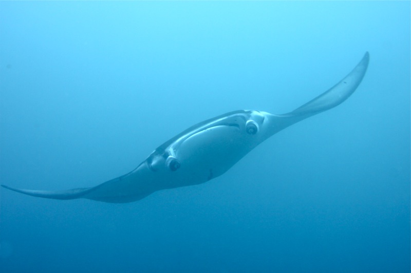 Photographer:Juergen Stamms