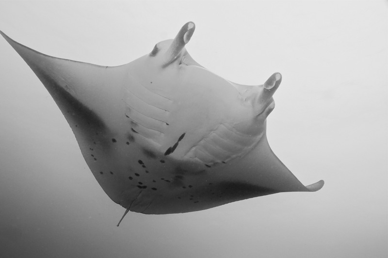 Photographer:Juergen Stamms