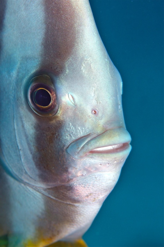 Photographer:Juergen Stamms