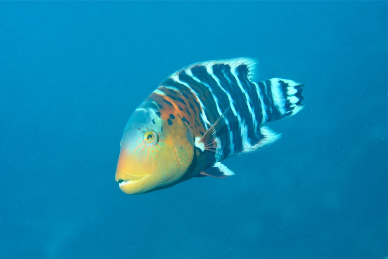 Photographer:Juergen Stamms