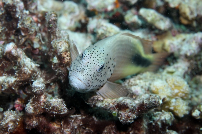 Photographer:Juergen Stamms