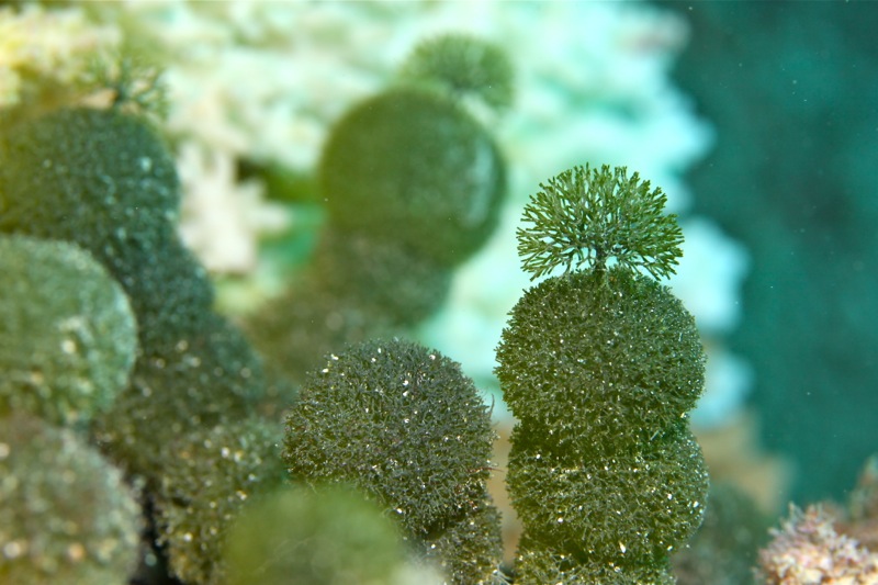 Photographer:Juergen Stamms