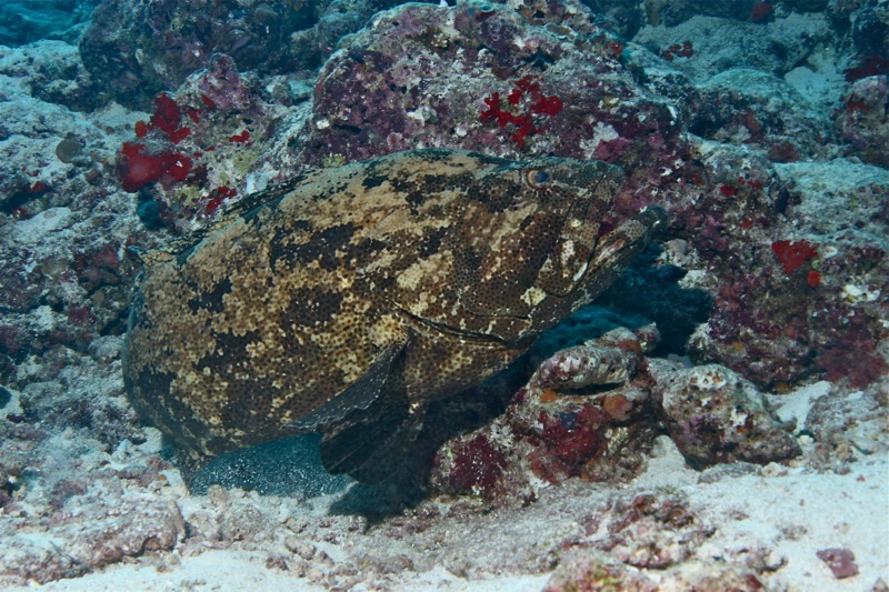 Photographer:Juergen Stamms