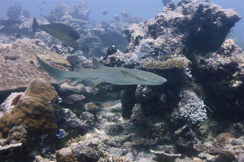 Photographer:Juergen Stamms