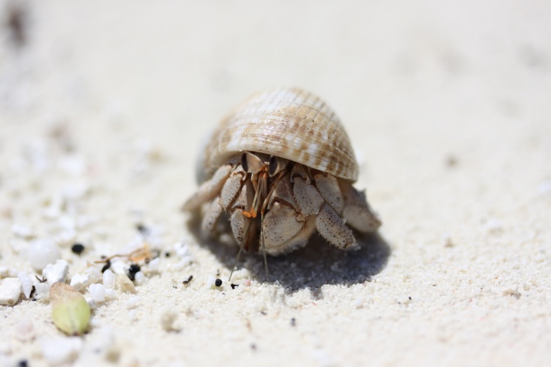 Photographer:
Juergen Stamms