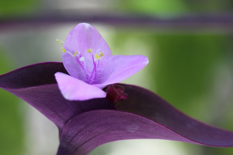 Photographer:
Juergen Stamms