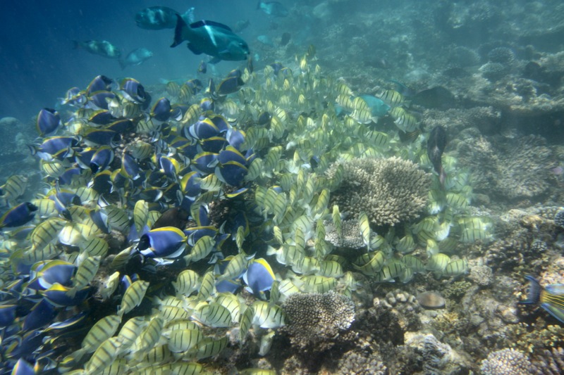 Photographer:Juergen Stamms