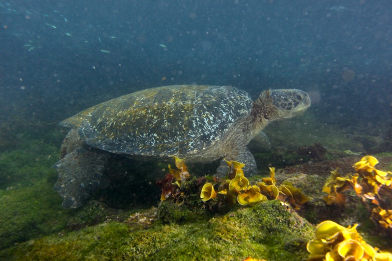 Photographer:Juergen Stamms