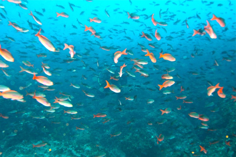 Photographer:Juergen Stamms