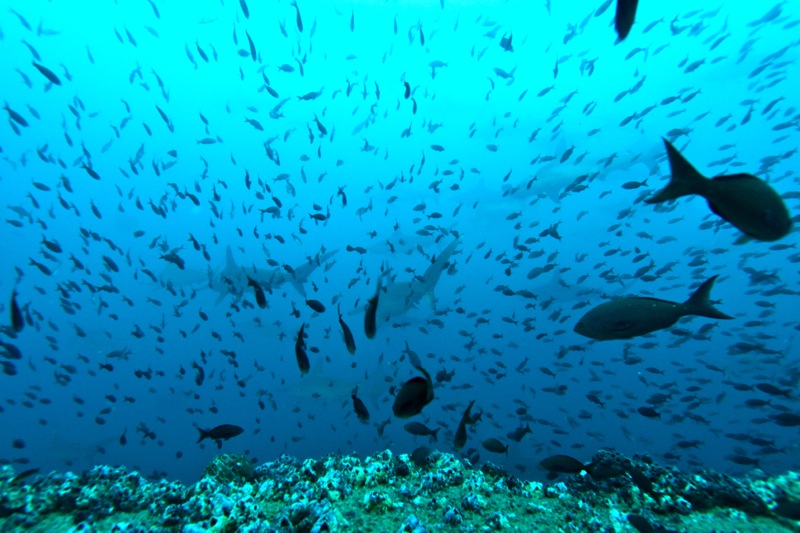 Photographer:Juergen Stamms