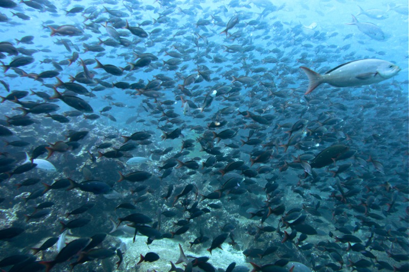 Photographer:Juergen Stamms