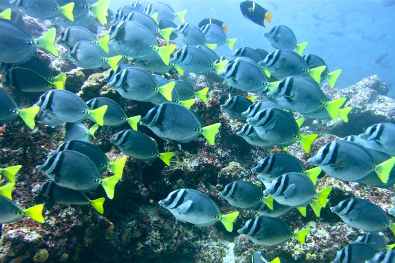 Photographer:Juergen Stamms