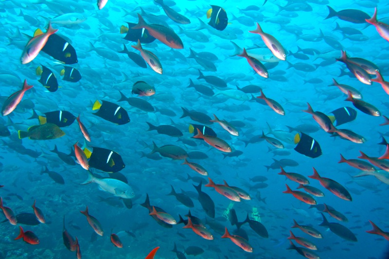 Photographer:Juergen Stamms