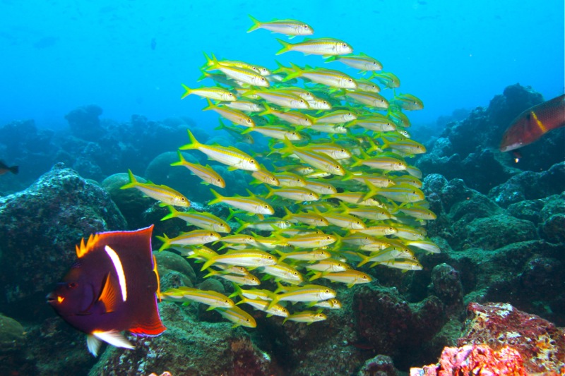 Photographer:Juergen Stamms