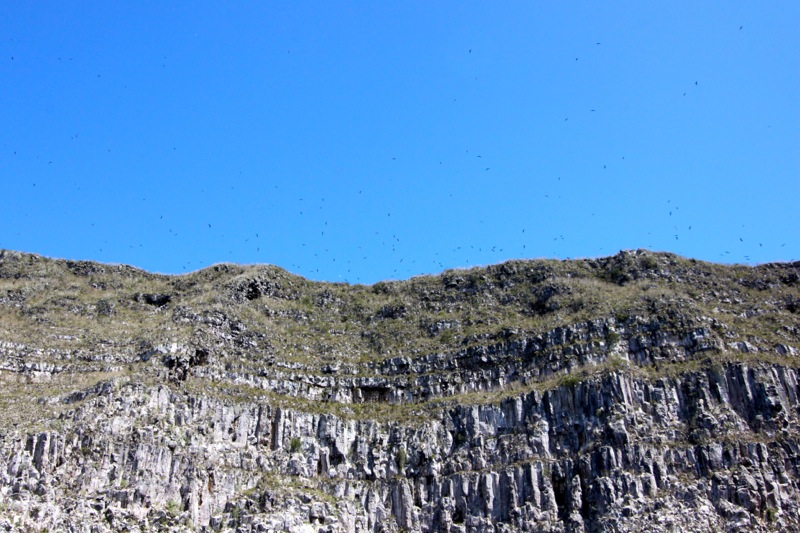 Photographer:Juergen Stamms