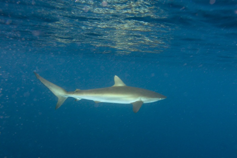 Photographer:Juergen Stamms