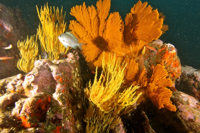 Photographer:Juergen Stamms