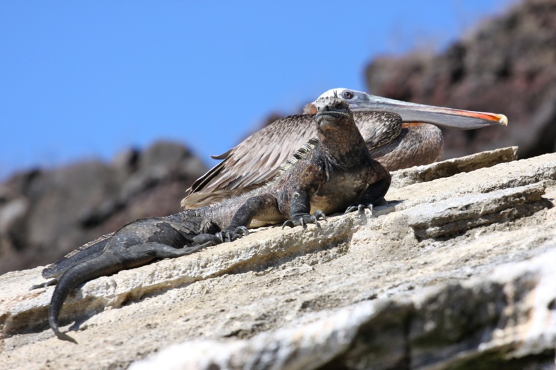 Photographer:Juergen Stamms