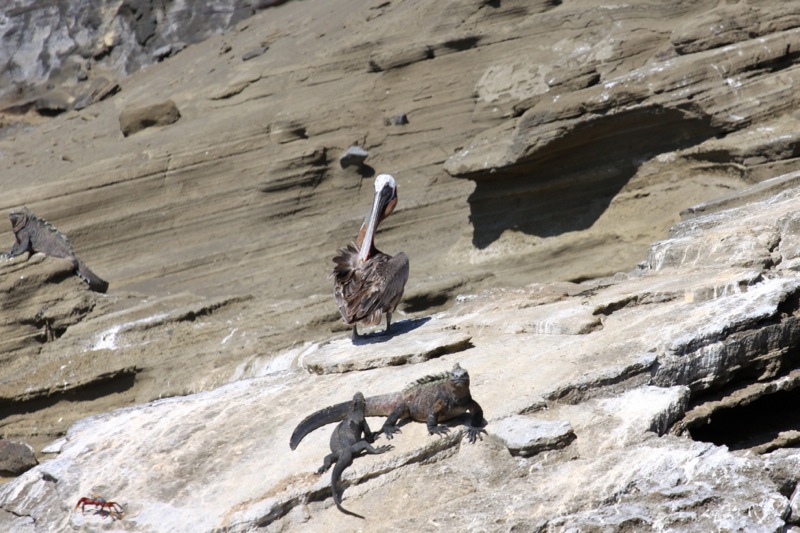 Photographer:Juergen Stamms