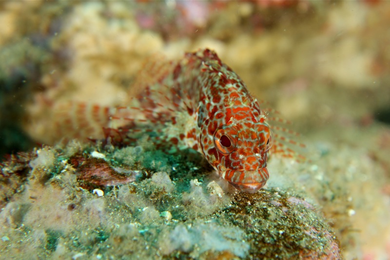 Photographer:Juergen Stamms