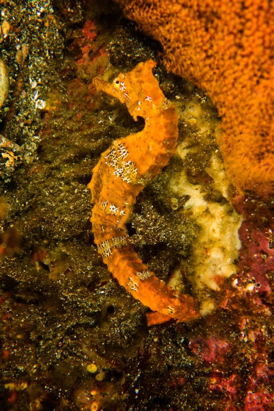 Photographer:Juergen Stamms