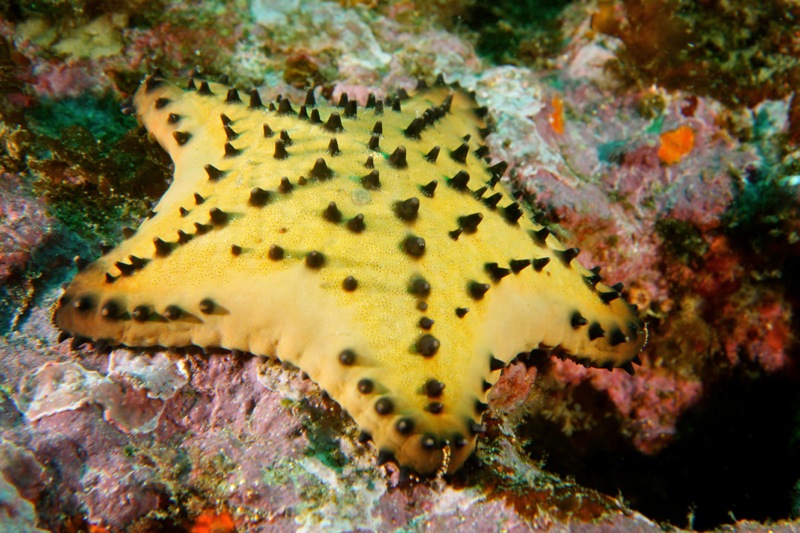 Photographer:Juergen Stamms